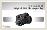 Intro to digital photography (the basics)