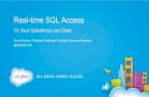 Real-time SQL Access to Your Salesforce.com Data Using Progress Data Direct
