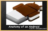 Anatomy of an android