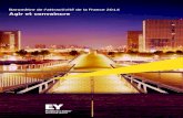 ey attractiveness france 2014
