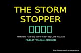 The storm stopper