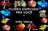 Flores especiais pra voce