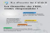 Gazette de l'ESI - Edition 1, Novembre 2013.