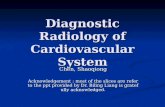 Diagnostic radiology of cardiovascular 2009