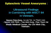 Splanchnic Vessel Aneurysms in Vietnam