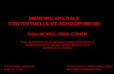 Memoire spatiale contextuelle et schizophrenie these mores dibo-cohen 2006 thesev2