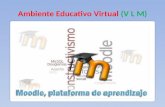 Ambiente Educativo Virtual (VLM)