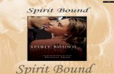 Vampire Academy:Spirit Bound