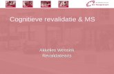 Cognitieve revalidatie & MS Akkelies Wensink Revalidatiearts.