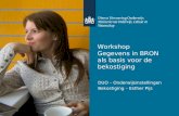 Workshop Gegevens in BRON als basis voor de bekostiging DUO – Onderwijsinstellingen Bekostiging – Esther Pijs.