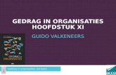GUIDO VALKENEERS GEDRAG IN ORGANISATIES HOOFDSTUK XI Gedrag in organisaties. De basis 1.