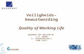 Veiligheids- bewustwording Quality of Working Life QUADRANT EPP BELGIUM NV I.P. NOORD R. TAVERNIERLAAN 2 8700 TIELT.