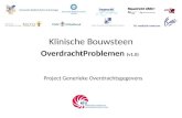 Klinische Bouwsteen Project Generieke Overdrachtsgegevens OverdrachtProblemen (v1.0)