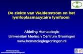 Afd Hematologie;  De ziekte van Waldenström en het lymfoplasmacytaire lymfoom Afdeling Hematologie Universitair Medisch Centrum.