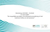 Workshop IMCORE - CLIMAR 21 April 2009 “De mogelijke gevolgen van klimaatsverandering in het mariene milieu en de kustzone”