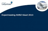 PowerPoint presentatie Lelystad Expertmeeting AWBZ Maart 2013.