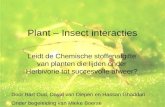 Plant – Insect interacties Leidt de Chemische stoffenafgifte van planten die lijden onder Herbivorie tot succesvolle afweer? Door Bart Oud, David van Diepen.