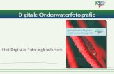Digitale Onderwaterfotografie Het Digitale Fotologboek van: