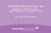 Energiebesparing op bedrijfsniveau Agriflanders 11 januari 2013 Elvie Plevoets.