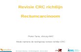 6th Expert Meeting – St Michielsgestel - 28 nov 2013 Revisie CRC richtlijn Rectumcarcinoom Pieter Tanis, chirurg AMC Mede namens de werkgroep revisie richtlijn.