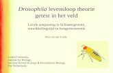 Drosophila levensloop theorie getest in het veld Leiden University, Institute for Biology, Sections Animal Ecology & Evolutionary Biology, The Netherlands.
