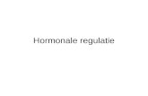 Hormonale regulatie. Hormonale stelsel •= endocriene stelsel (endocrien = naar binnen afgeven) •± 50 hormonen •Hormoonklieren produceren hormoon •Hormoon.