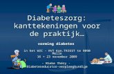 Diabeteszorg: kanttekeningen voor de praktijk… vorming diabetes in het WZC - RVT Kan.TRIEST te 9090 Melle 16 + 23 november 2009 - Mieke Théry - Diabeteseducator-verpleegkundige.