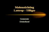 Molenstichting Lattrop - Tilligte Gemeente Dinkelland.