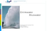 NV Waterleidingmaatschappij Drenthe Drinkwater Bluswater Klantenpanel 18 november 2011 Petra Holzhaus Manager Distributie.