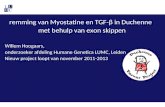 Remming van Myostatine en TGF-β in Duchenne met behulp van exon skippen Willem Hoogaars, onderzoeker afdeling Humane Genetica LUMC, Leiden Nieuw project.