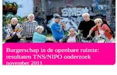 Burgerschap in de openbare ruimte: resultaten TNS/NIPO onderzoek november 2011.