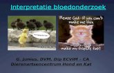 Interpretatie bloedonderzoek G. Junius, DVM, Dip ECVIM – CA Dierenartsencentrum Hond en Kat.