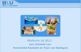 Amsterdam 9 september 2005 BLU Vision Table een initiatief van Annemieke Roobeek en Toon van Bodegom Welkom bij BLU.