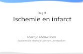 Dag 3 Ischemie en infarct Martijn Meuwissen Academisch Medisch Centrum, Amsterdam.