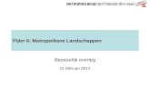 Pijler 6: Metropolitane Landschappen Bestuurlijk overleg 21 februari 2012.