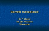 Barrett metaplasie Dr F Staels AZ Jan Portaels Vilvoorde.