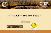 Clingendael ﴀInternational Energy Programme  “The Climate for Steel” Stephan Slingerland VNO NCW, 23 April 2009.