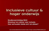 Beno.schraepen@plantijn.be Inclusieve Cultuur & Hoger onderwijs 070509 SIHO Brussel Inclusieve cultuur & hoger onderwijs Studievoormiddag SIHO Structuur.