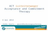 ACT iviteitenweger Acceptance and Commitment Therapy 6 mei 2014 Aimée Zwarts - gezondheidszorgpsycholoog.
