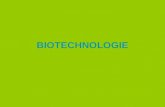 BIOTECHNOLOGIE. INLEIDING Biotechnologie: –Bios -technologie –Onderzoeken van levensprocessen in organismen en deze desgewenst gebruiken, aanpassen voor.