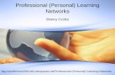 Professional (Personal) Learning Networks