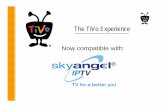 The TiVo Experience