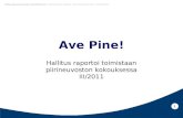 Hallitusraportti pine iii 2011