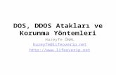 DDOS Saldırıları ve Korunma Yolları