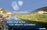 SASS und SCSS - CSS effektiv schreiben