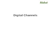 Digital Channels