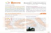 Boletín REVE 2011 - Enero (nº3)