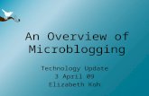 An Overview of Microblogging