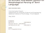 Tamil Morphological Analysis