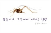 [제3회 Ignite seoul]  김나영 - 꼽등이가 모두에게 미치는 영향